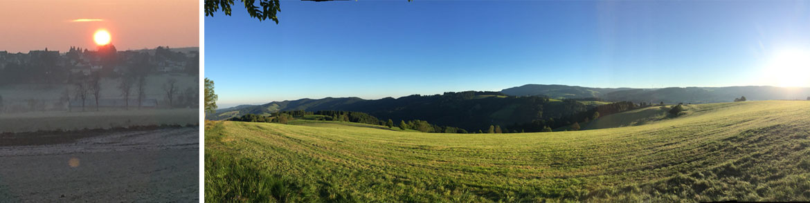 Kräuterwanderungen
